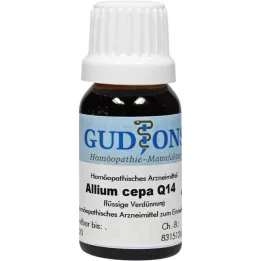 ALLIUM CEPA Q 14 lösning, 15 ml