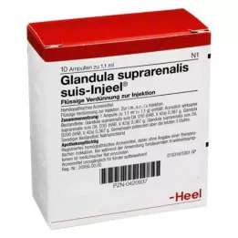 GLANDULA SUPRARENALIS Suis Injuel Ampoules, 10 st