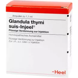 GLANDULA THYMI Suis Injuel Ampoules, 100 st