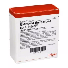 GLANDULA THYREOIDEA Suis Injuel Ampoules, 10 st