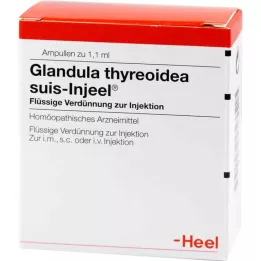 GLANDULA THYREOIDEA Suis Injuel Ampoules, 100 st