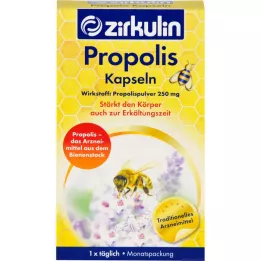 Zirkulin Propolis Kapslar, 30 st