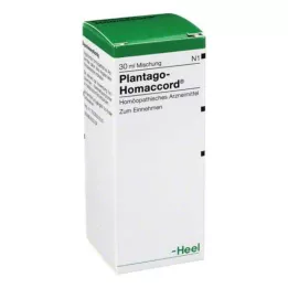 PLANTAGO HOMACCORD Droppar, 30 ml