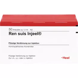 Ren suis in-org, 50 st