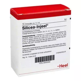 SILICEA INJEEL Ampoules, 10 st