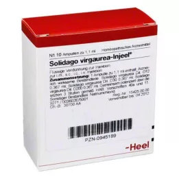 SOLIDAGO VIRGAUREA INJEEL Ampoules, 10 st