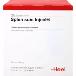 Splen suis in-org, 100 st