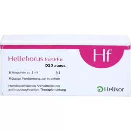 HELLEBORUS FOETIDUS aquos. D 20 ampuller, 8X1 ml