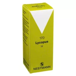 LYCOPUS H No.170 droppar, 100 ml