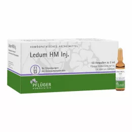 LEDUM HM Injicera ampuller, 50 st