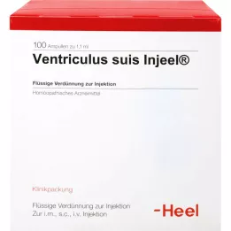 Ventriculus suis in org, 100 st