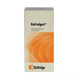 KATTWIGAST tabletter, 100 st
