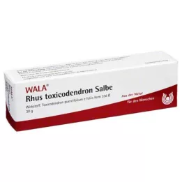 RHUS TOXICODENDRON SALVA, 30 g