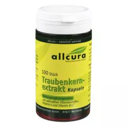 TRAUBENKERNEXTRAKT kapslar, 100 st