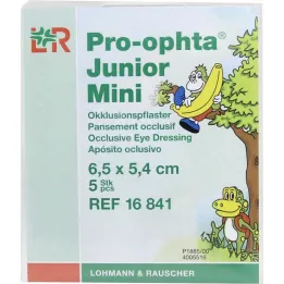 PRO-OPHTA Junior mini ocklusionsgips, 5 st