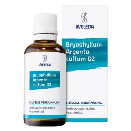 BRYOPHYLLUM ARGENTO cultum D 2 Spädning, 50 ml