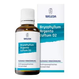 BRYOPHYLLUM ARGENTO cultum D 3 Spädning, 50 ml