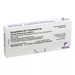 BRYOPHYLLUM D 5/conchae d 7 ampoules, 8x1 ml