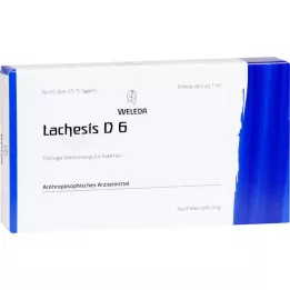 LACHESIS D 6 ampoules, 8x1 ml