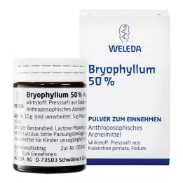 BRYOPHYLLUM 50 % pulver för oral användning, 50 g