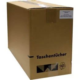 TASCHENTÜCHER Motivvitaminer, 1 st