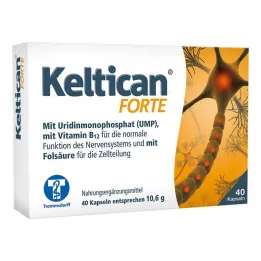 KELTICAN forte kapslar, 40 st