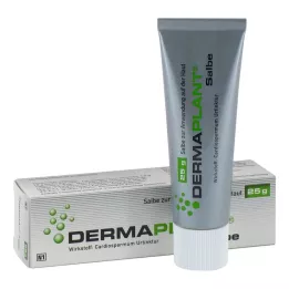 DERMAPLANT Salva, 25 g