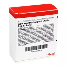 ATP Injuel Forte Ampoules, 10 st