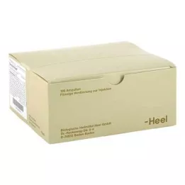 SEROTONIN InJeel Ampoules, 100 st