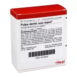 PULPA DENTIS SUIS InJeel Ampoules, 10 st