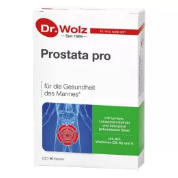 PROSTATA PRO Dr.Wolz kapslar, 2X20 st