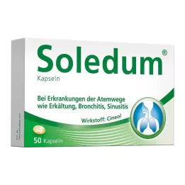 SOLEDUM 100 mg gastroresistenta kapslar, 50 st