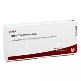 RENES/EQUISETUM ampuller, 10X1 ml