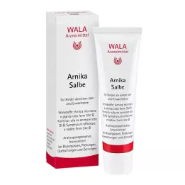 ARNIKA SALVA, 30 g