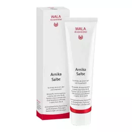 ARNIKA SALVA, 100 g