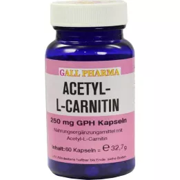 ACETYL-L-CARNITIN 250 mg kapslar, 60 st