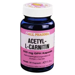 ACETYL-L-CARNITIN 500 mg kapslar, 30 st