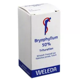 BRYOPHYLLUM 50 % pulver för oral användning, 20 g