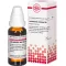 LATRODECTUS mactans D 8 Spädning, 20 ml