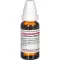 LATRODECTUS mactans D 8 Spädning, 20 ml