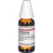 Phellandrium Aquat D3, 20 ml