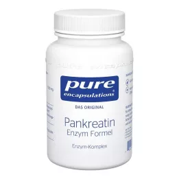 Ren Encap Pancreatin Enz, 60 st
