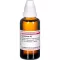 LYCOPODIUM D2 Spädning, 50 ml