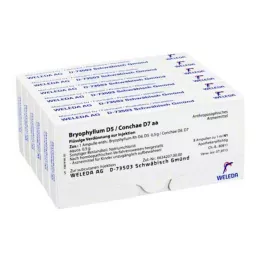 BRYOPHYLLUM D 5/Conchae D 7 ampuller, 48X1 ml