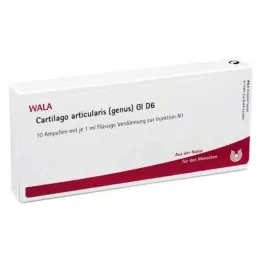 CARTILAGO articularis genus GL D 6 ampuller, 10X1 ml