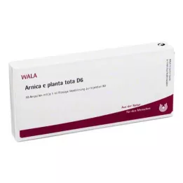 ARNICA E Planta tota D 6 ampuller, 10X1 ml