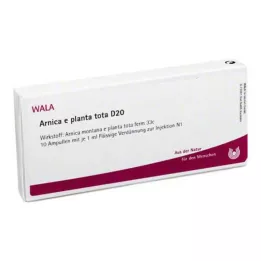 ARNICA E Planta tota D 20 ampuller, 10X1 ml