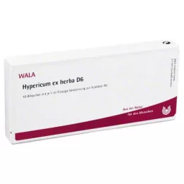 HYPERICUM EX Herba D 6 ampuller, 10X1 ml