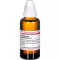Eupatorium PERF D4, 50 ml