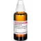 Hamamelis d12, 50 ml